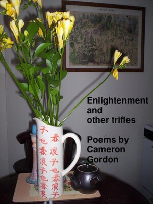 cover image of Enlightenment and other trifles